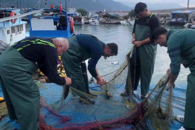 Balık avı için Karadeniz'e açılan tekneler, boş dönmüyor