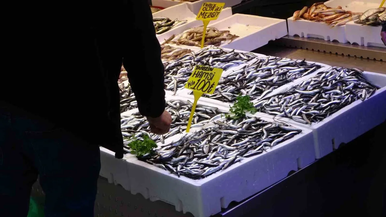 Karadeniz’de hamsi bereketi devam ediyor!