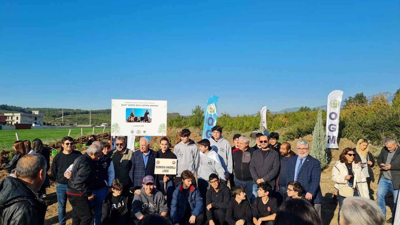 Kastamonu’dan İzmir’e uzanan yeşil vefa