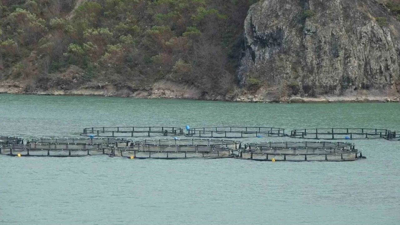Bakan Yumaklı Türk somonu ihracat bilgilerini açıkladı