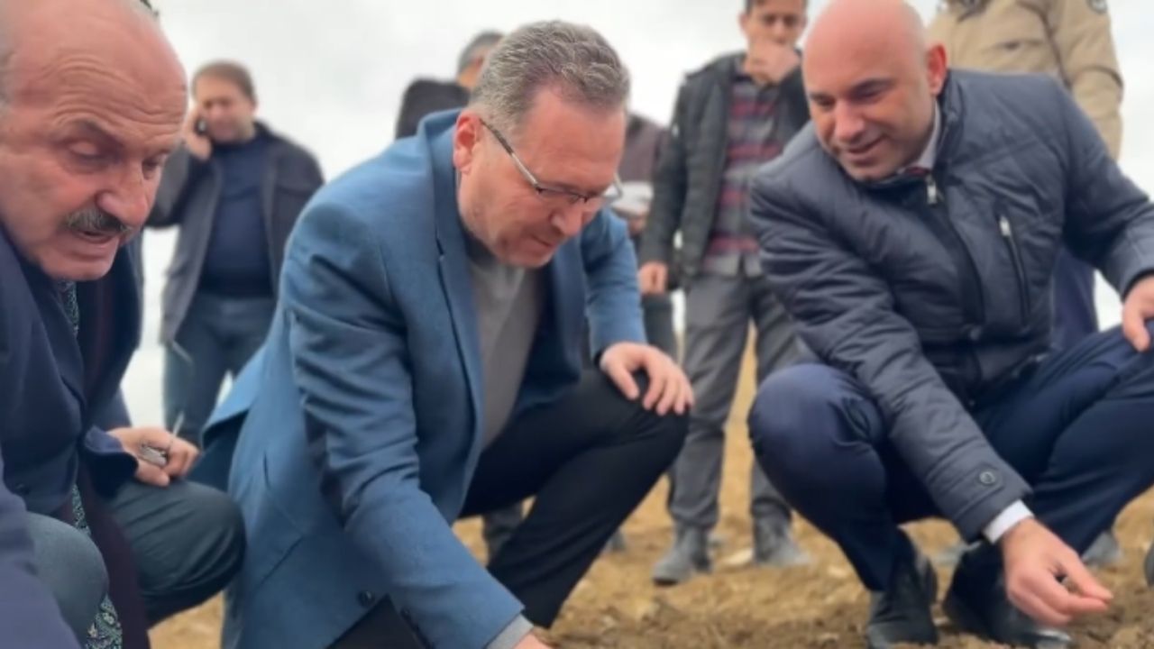 İl Başkanı Sevgilioğlu sarımsak tarlasında