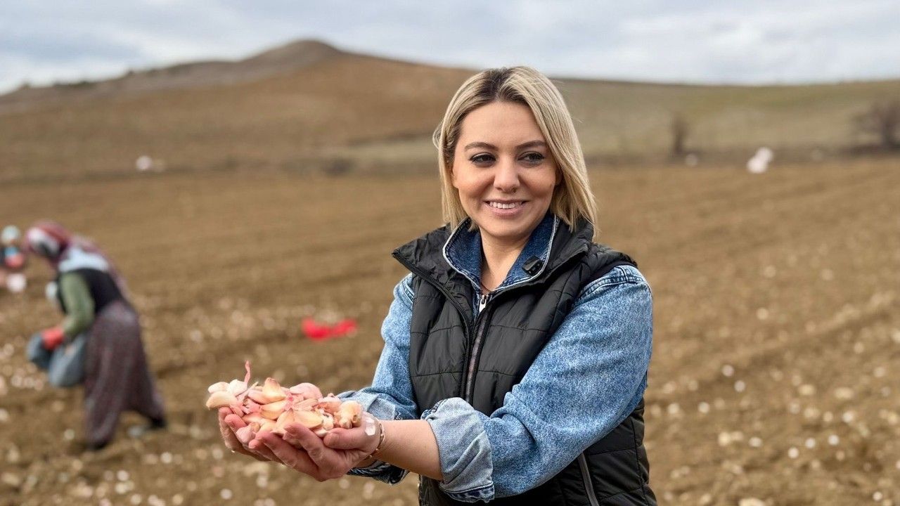 Milletvekili Ekmekci, emekçi kadınlarla tarlada