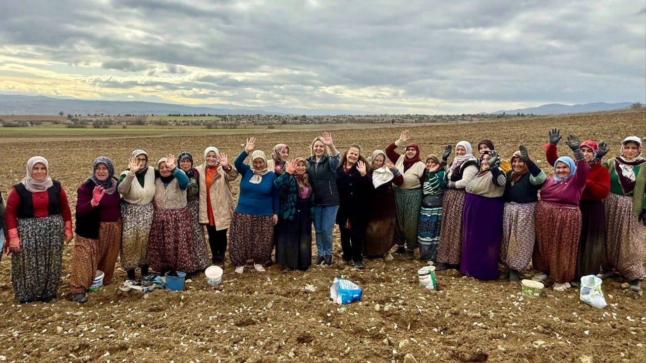 Milletvekili Ekmekci, emekçi kadınlarla tarlada