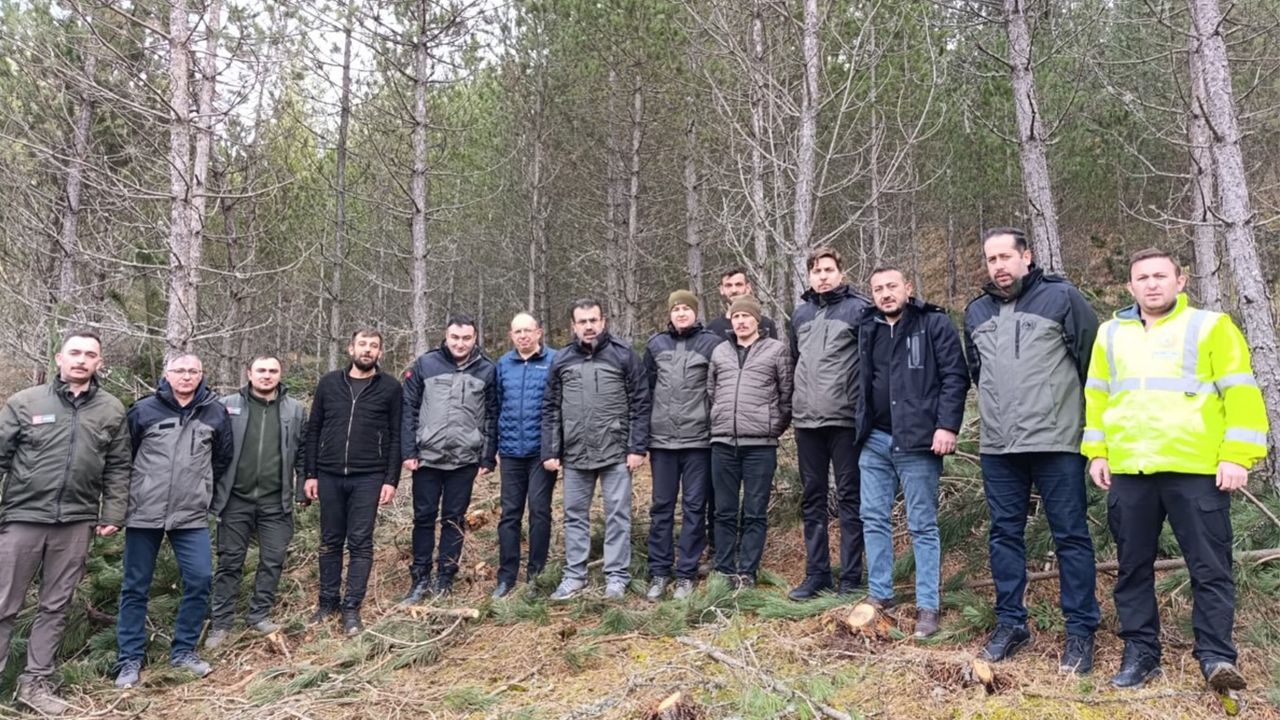 Bölge Müdürü Yaslıkaya incelemelerde bulundu