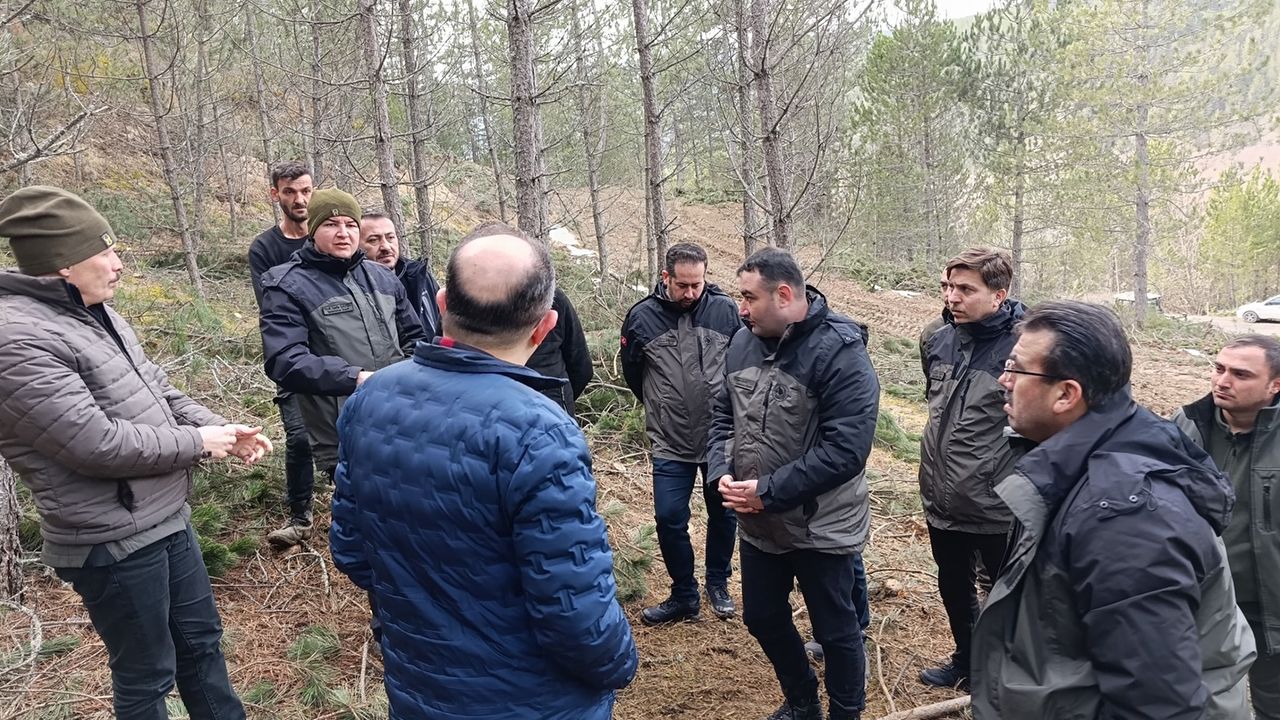 Bölge Müdürü Yaslıkaya incelemelerde bulundu