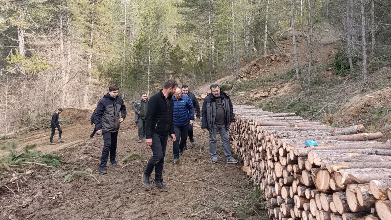 Bölge Müdürü Yaslıkaya incelemelerde bulundu