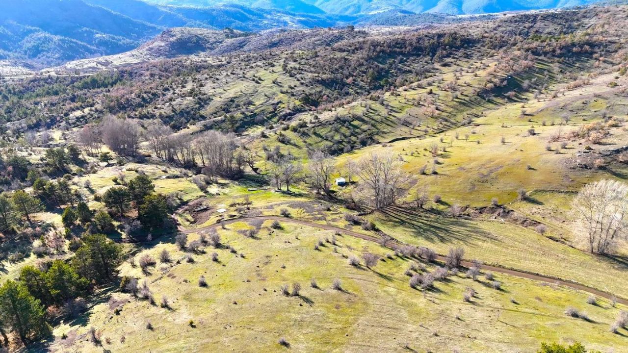Karlar eridi: Yaylaların yeşili kendini gösterdi